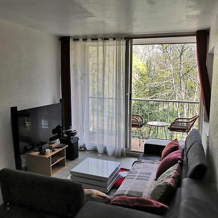 Chambre D'Hote Au Parc Des Thibaudieres Boussy-Saint-Antoine 외부 사진