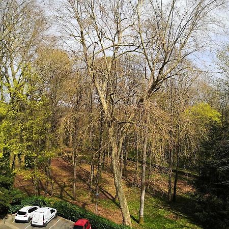 Chambre D'Hote Au Parc Des Thibaudieres Boussy-Saint-Antoine 외부 사진