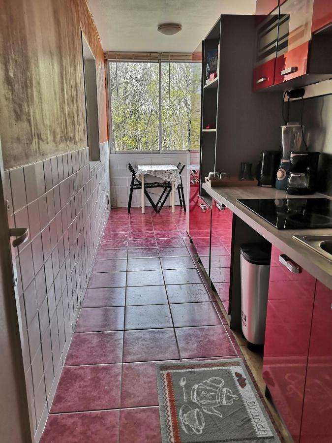 Chambre D'Hote Au Parc Des Thibaudieres Boussy-Saint-Antoine 외부 사진